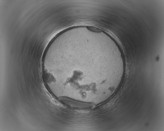 X0000115590996200912011459