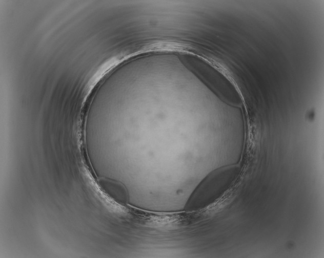 X0000115590997200912011459