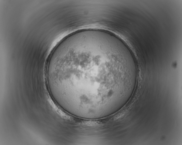 X0000115590998200912011459