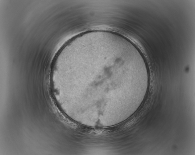 X0000115591000200912011459