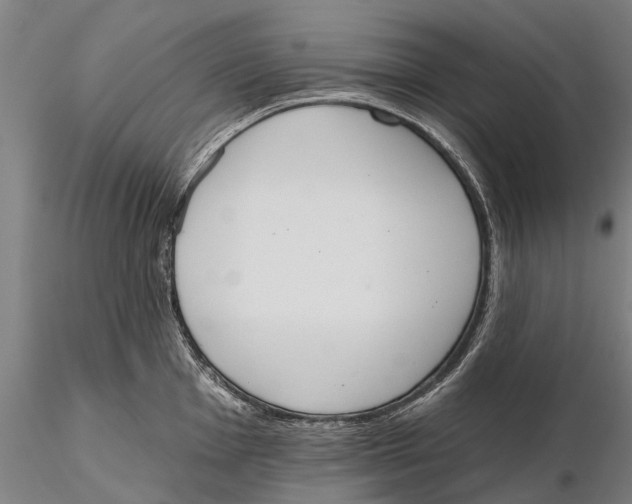 X0000115591001200912011459