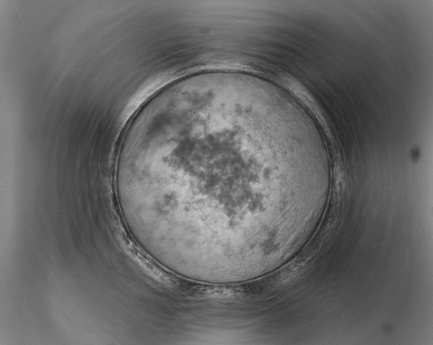 X0000115591002200912011459