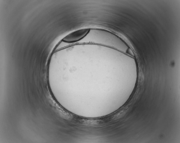 X0000115591004200912011459