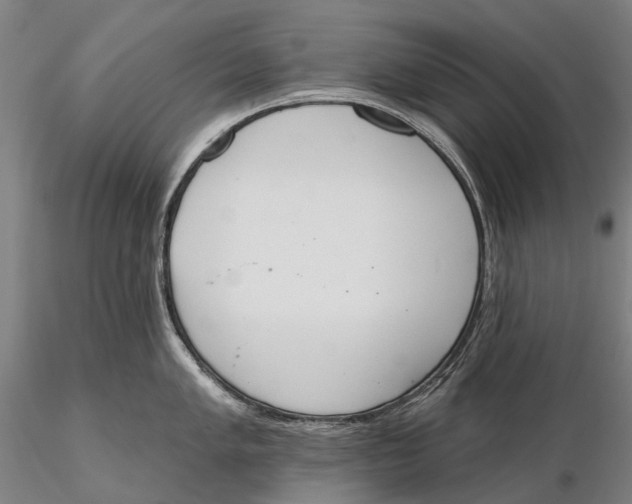 X0000115591005200912011459