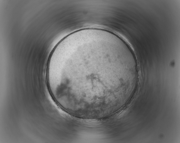 X0000115591007200912011459