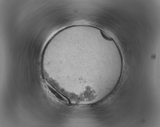 X0000115591008200912011459