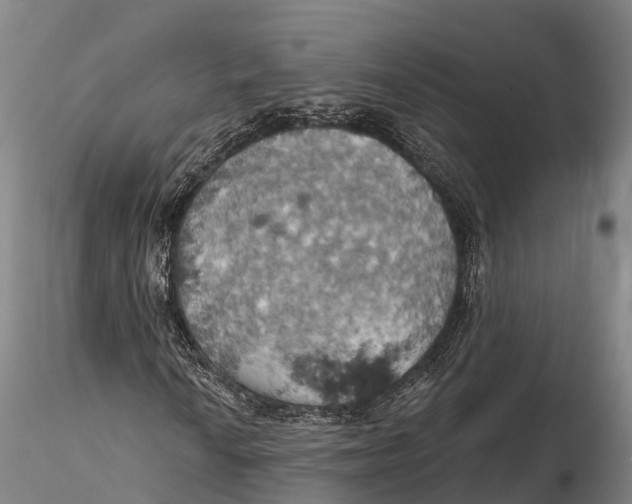 X0000115591010200912011458