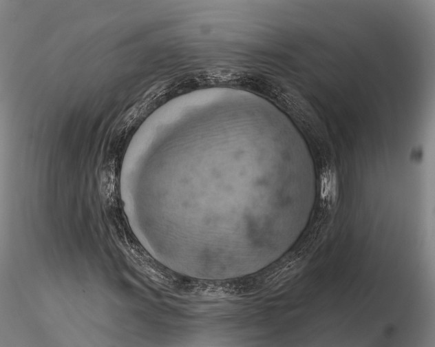 X0000115591011200912011458