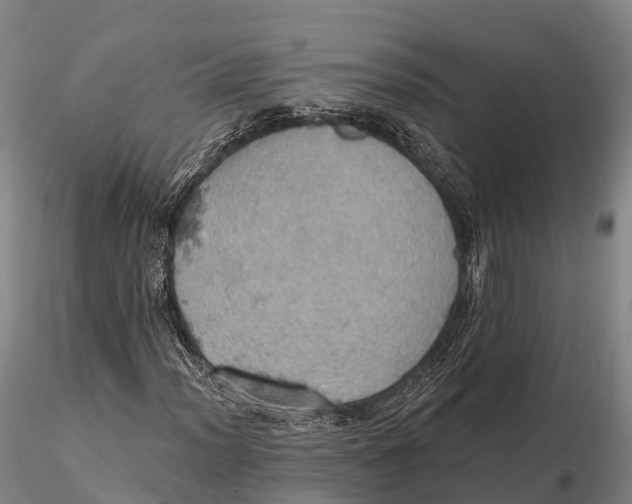 X0000115591012200912011458