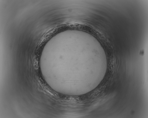 X0000115591013200912011458