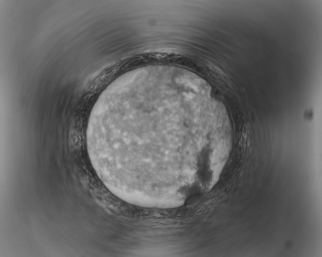 X0000115591014200912011458