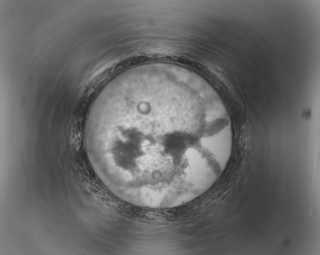 X0000115591015200912011458