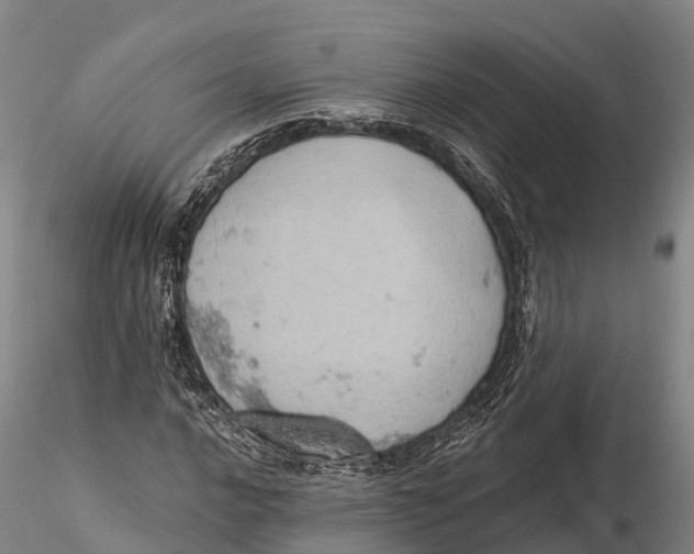 X0000115591016200912011458