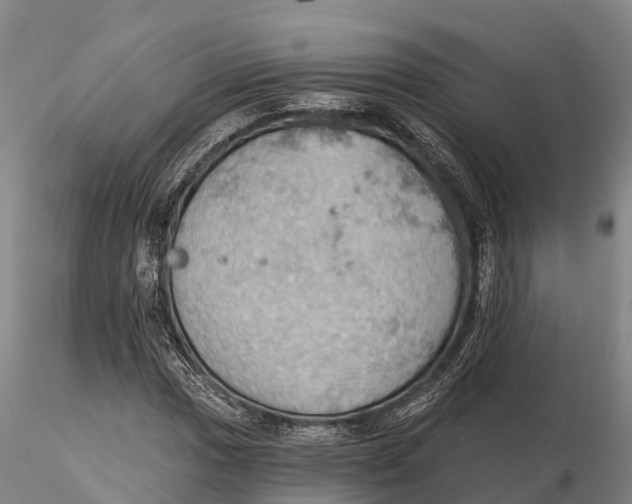X0000115591017200912011458