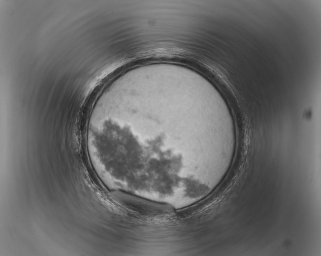 X0000115591018200912011458