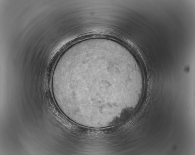 X0000115591019200912011458