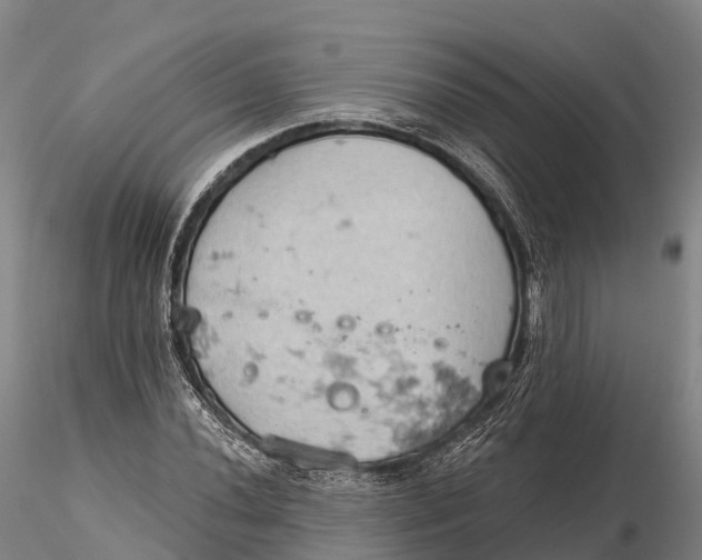 X0000115591020200912011458