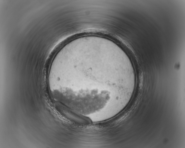 X0000115591021200912011458