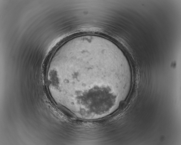 X0000115591022200912011458
