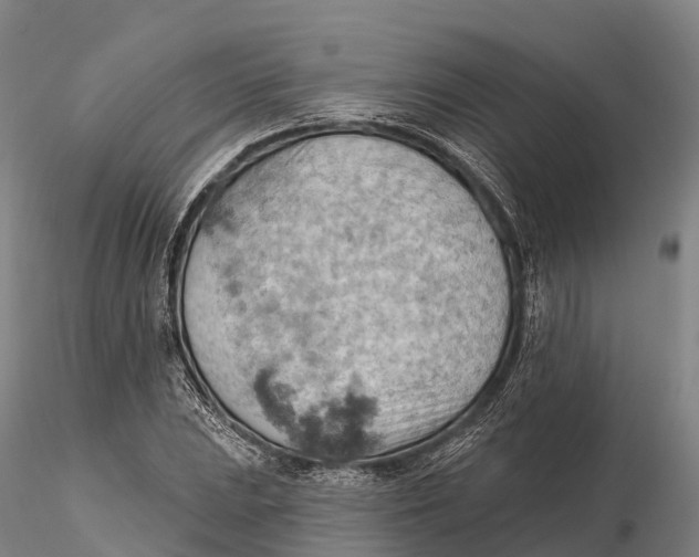 X0000115591023200912011458