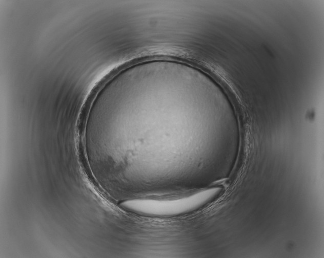 X0000115591024200912011458