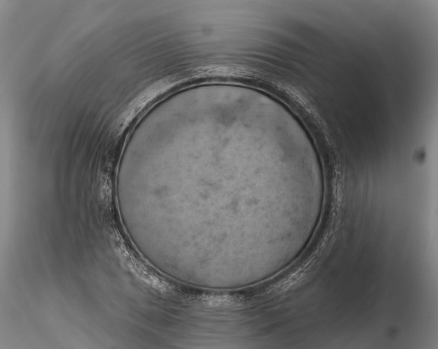 X0000115591025200912011458