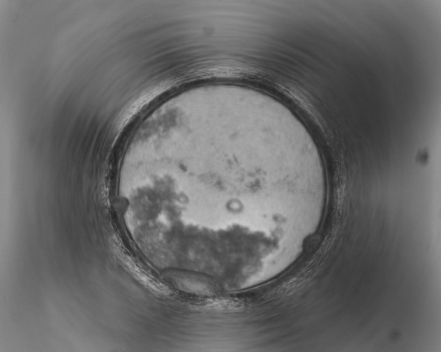 X0000115591026200912011458