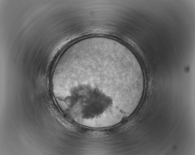 X0000115591027200912011458
