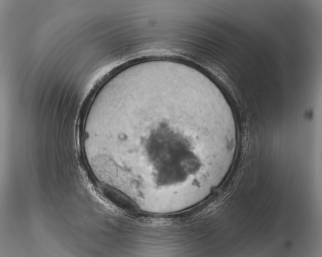 X0000115591030200912011458