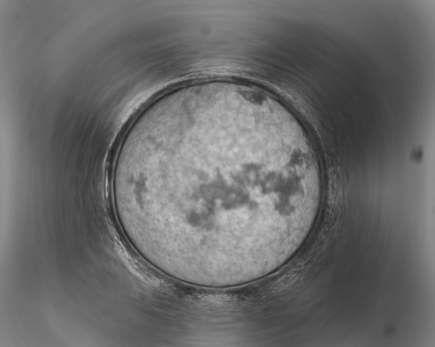 X0000115591031200912011458