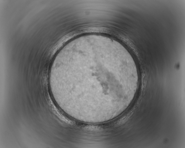 X0000115591033200912011458