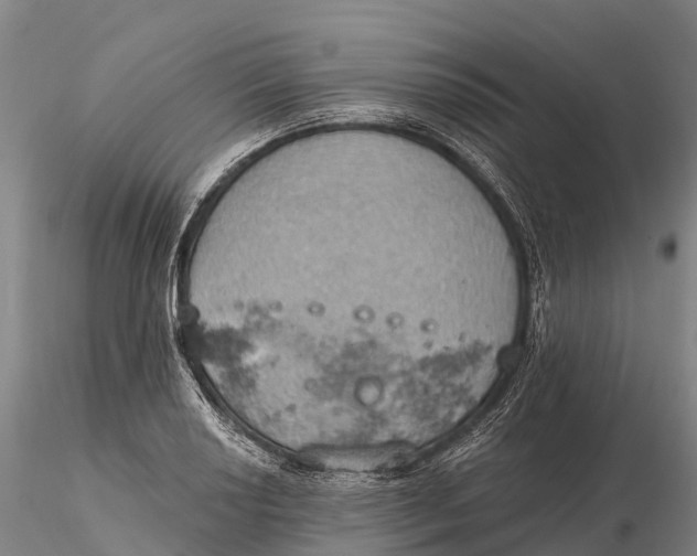 X0000115591034200912011458