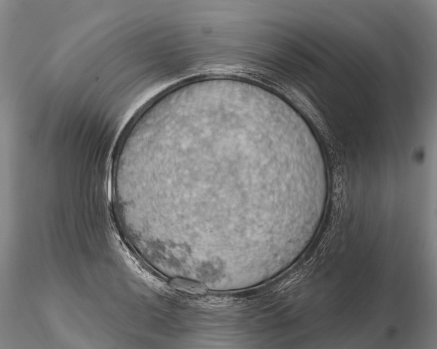 X0000115591036200912011458