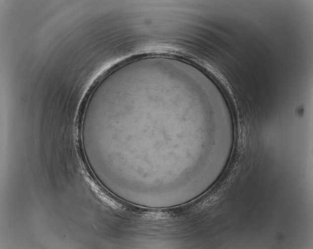 X0000115591037200912011458