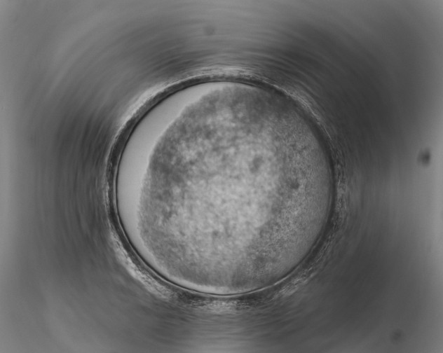 X0000115591038200912011458