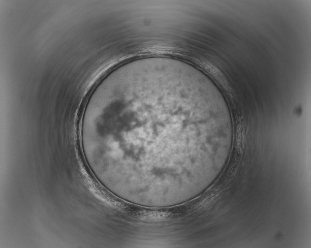 X0000115591039200912011458