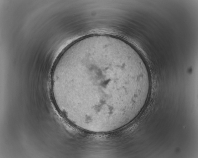 X0000115591040200912011458