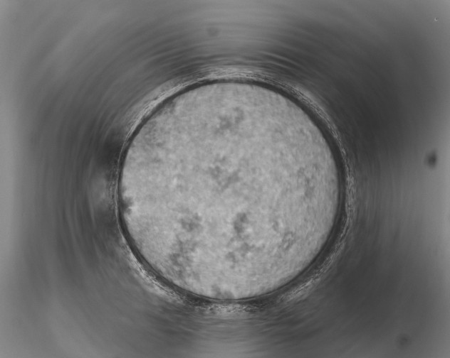 X0000115591041200912011458