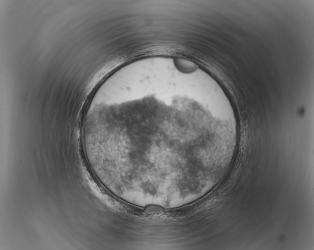 X0000115591042200912011458