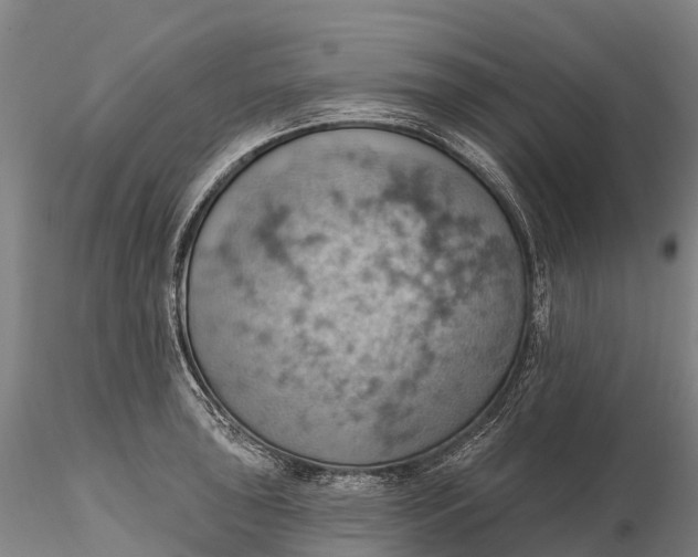 X0000115591043200912011458