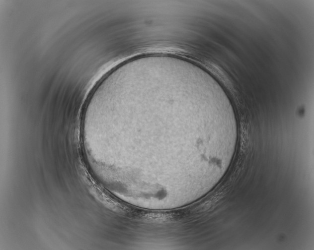 X0000115591044200912011458