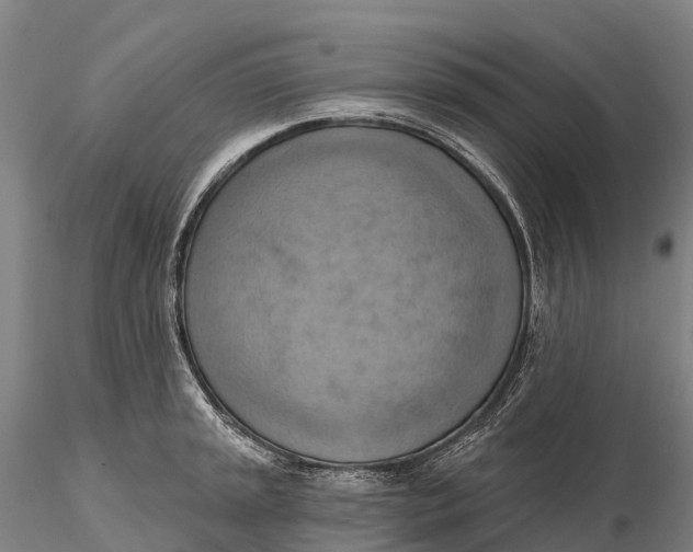 X0000115591045200912011458