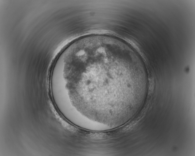 X0000115591046200912011458