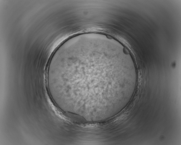 X0000115591047200912011458