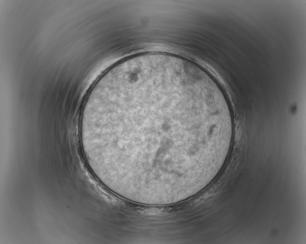 X0000115591048200912011458