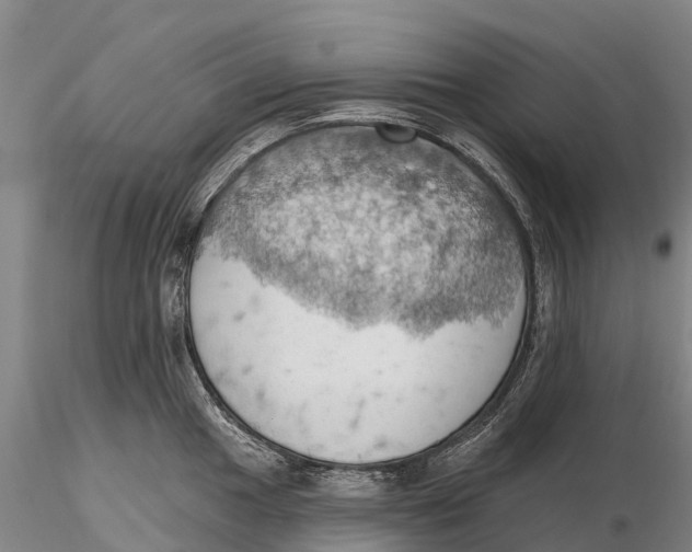 X0000115591049200912011458