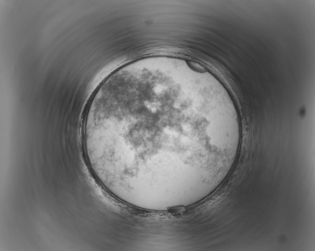 X0000115591050200912011458