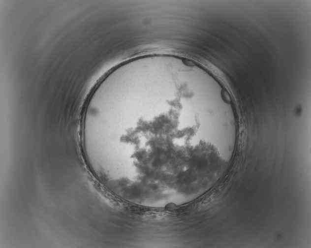 X0000115591051200912011458