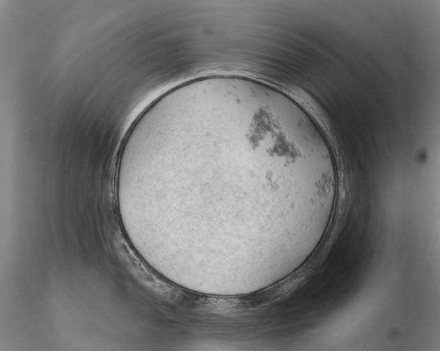 X0000115591052200912011458