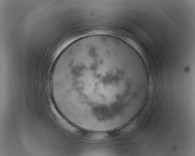 X0000115591055200912011459